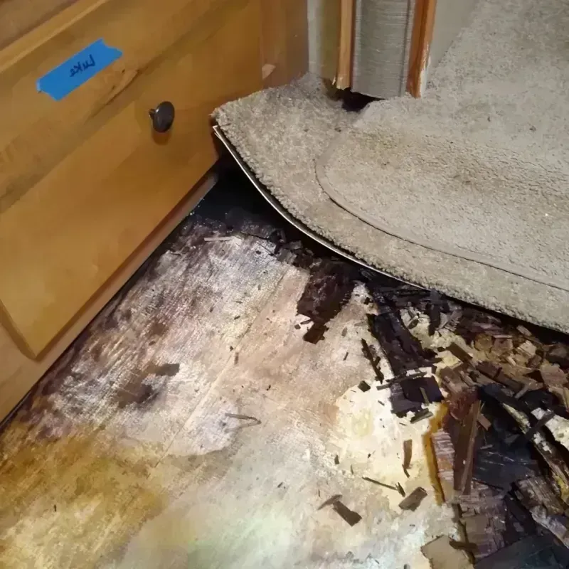 Wood Floor Water Damage in South Bradenton, FL